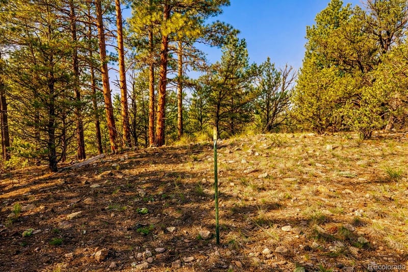 TBD L 10th Trl, Cotopaxi, CO 81223
