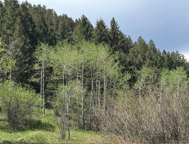 Maxwell Hill Rd, Littleton, CO 80127