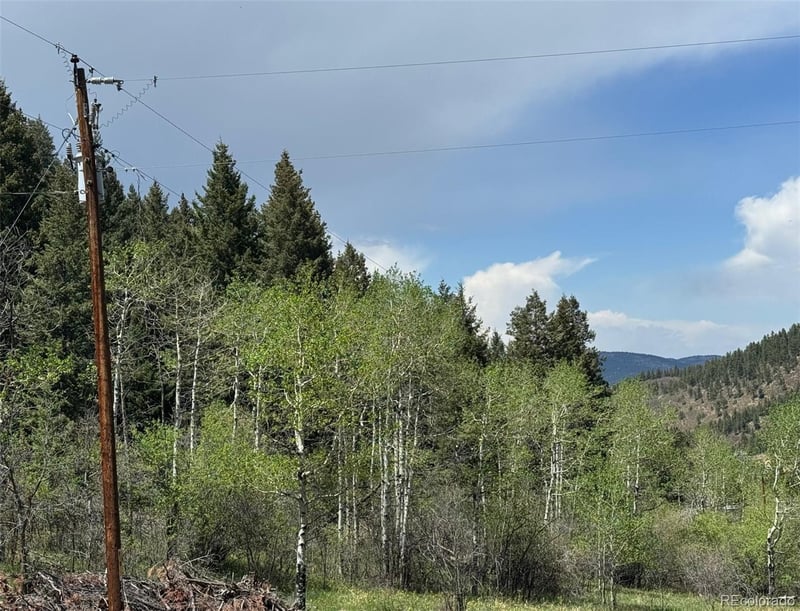 Maxwell Hill Rd, Littleton, CO 80127