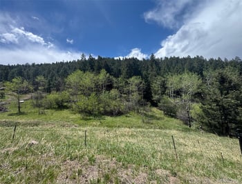 Maxwell Hill Rd, Littleton, CO 80127