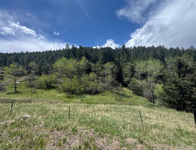 Maxwell Hill Rd, Littleton, CO 80127