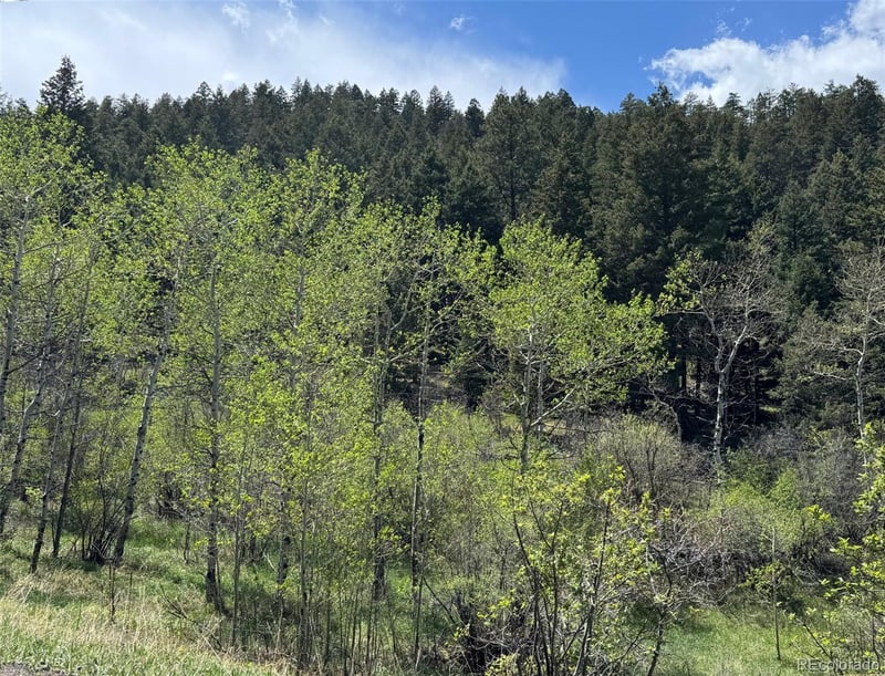 Maxwell Hill Rd, Littleton, CO 80127