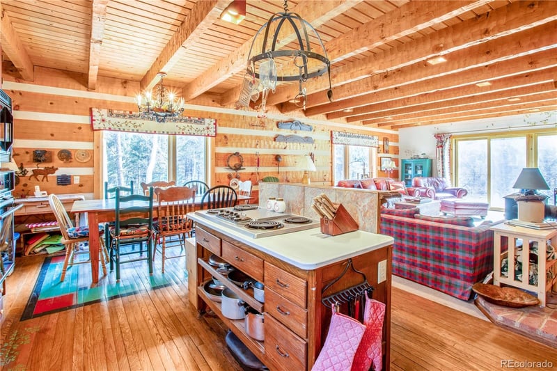 22590 County Road 292a, Nathrop, CO 81236