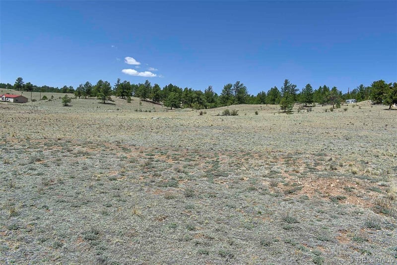 1999 Arapaho Trl, Hartsel, CO 80449
