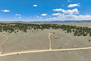 1999 Arapaho Trl, Hartsel, CO 80449