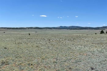 1999 Arapaho Trl, Hartsel, CO 80449