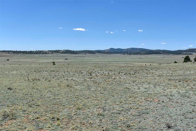 1999 Arapaho Trl, Hartsel, CO 80449