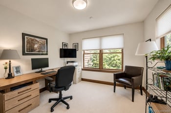 60 Linden Ln, Breckenridge, CO 80424
