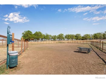 6913 Pettigrew St, Wellington, CO 80549