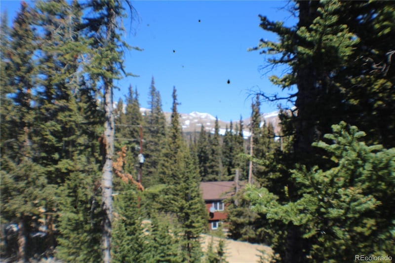 767 Valley Of The Sun Dr, Fairplay, CO 80440