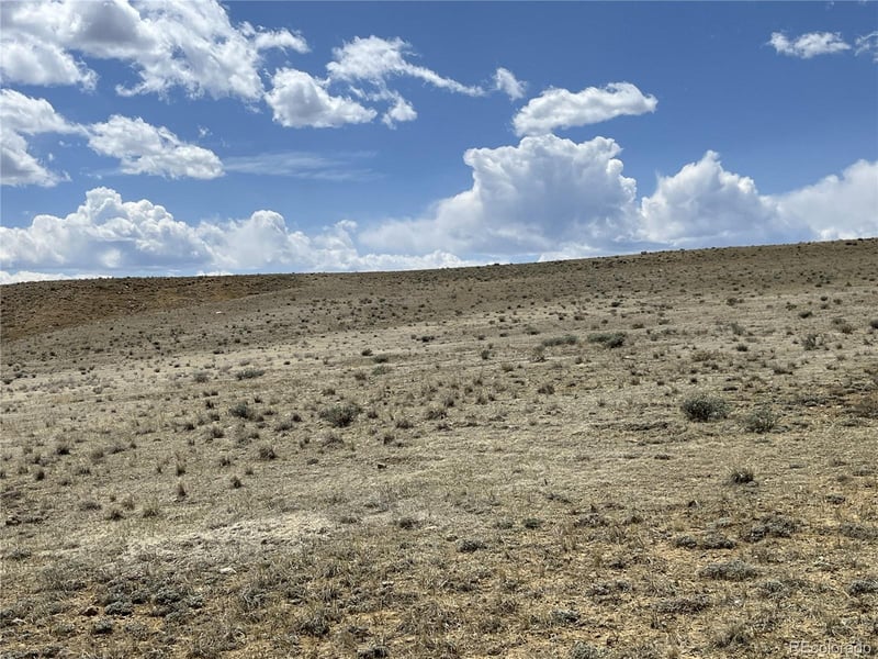 604 Routt Rd, Hartsel, CO 80449