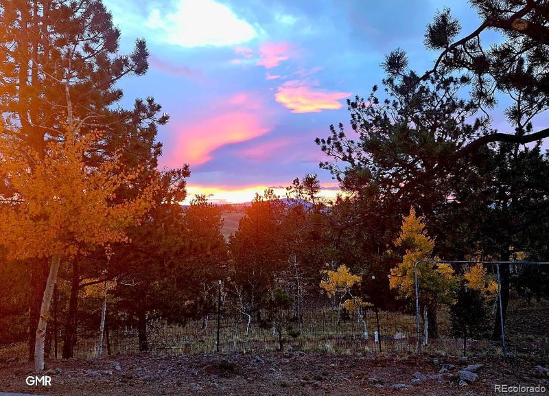 291 Bandolier Ct, Hartsel, CO 80449