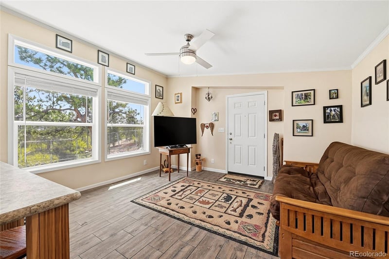 291 Bandolier Ct, Hartsel, CO 80449