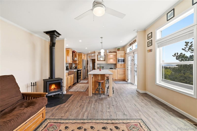 291 Bandolier Ct, Hartsel, CO 80449