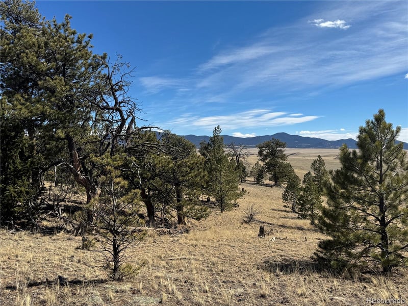 62 Powder Way, Jefferson, CO 80456
