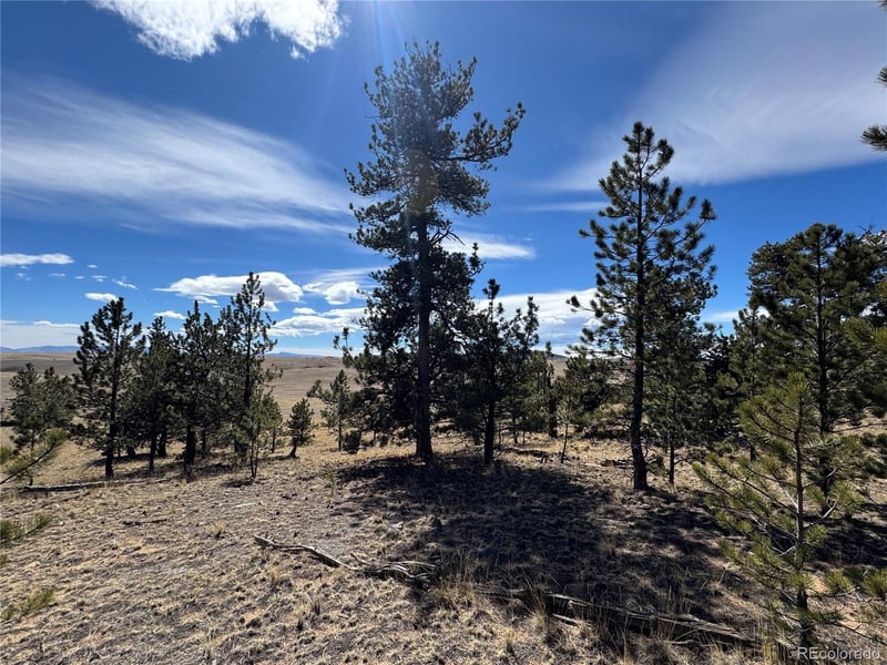 62 Powder Way, Jefferson, CO 80456