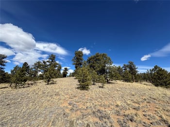 62 Powder Way, Jefferson, CO 80456
