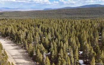 1726 Venture Rd, Fairplay, CO 80440