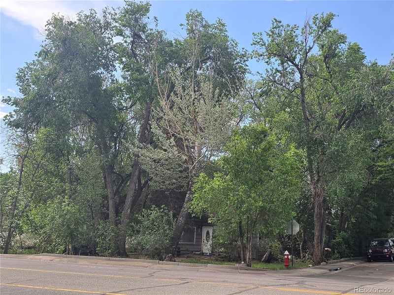 339 17th Ave, Longmont, CO 80501