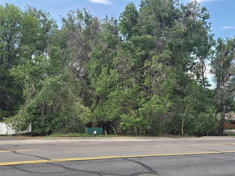 339 17th Ave, Longmont, CO 80501
