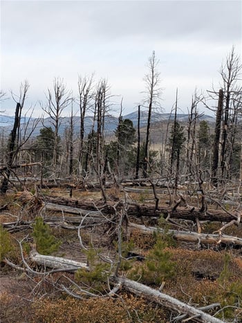 Lot 2301 Wohlstetter Loop, Fort Garland, CO 81133