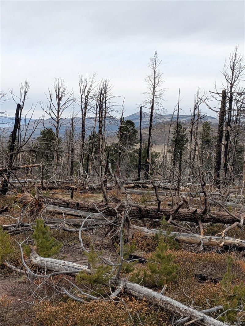 Lot 2301 Wohlstetter Loop, Fort Garland, CO 81133
