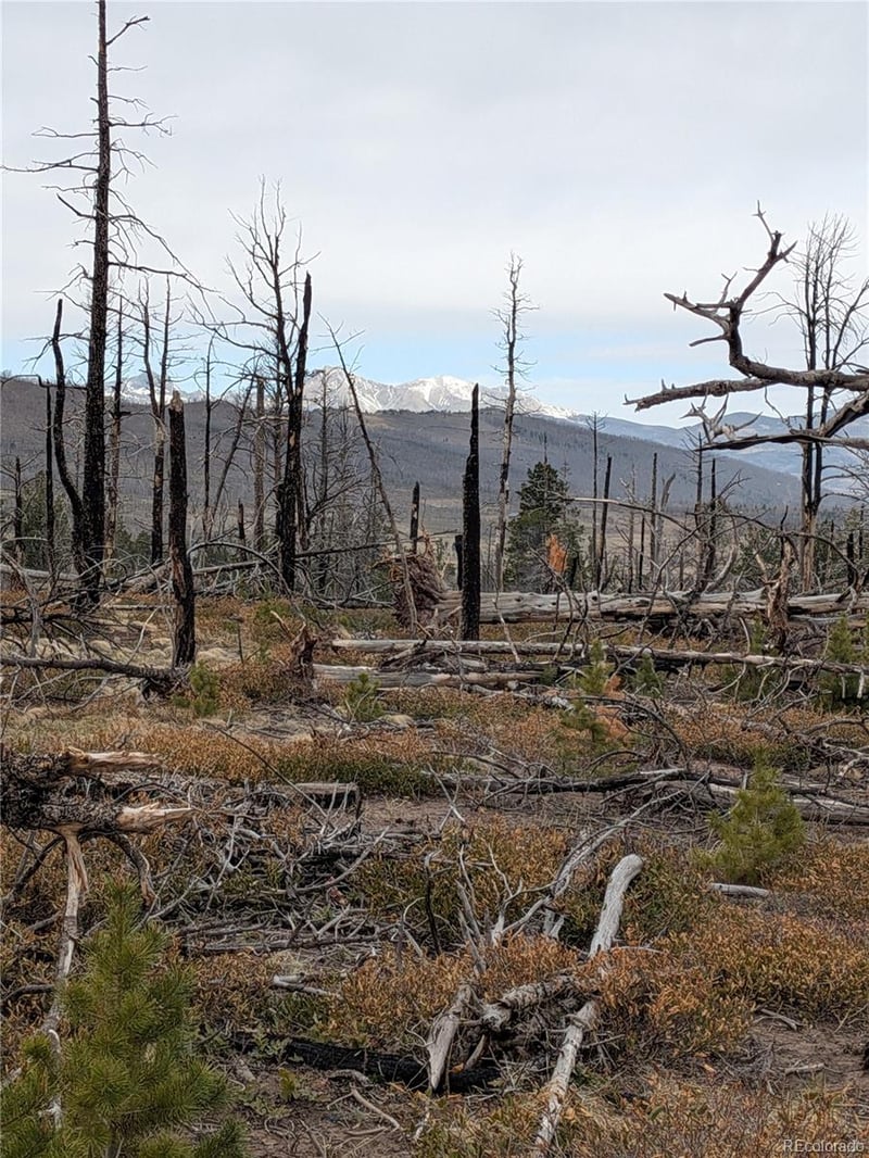 Lot 2301 Wohlstetter Loop, Fort Garland, CO 81133