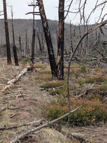 Lot 2301 Wohlstetter Loop, Fort Garland, CO 81133