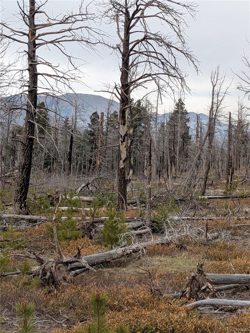 Lot 2301 Wohlstetter Loop, Fort Garland, CO 81133