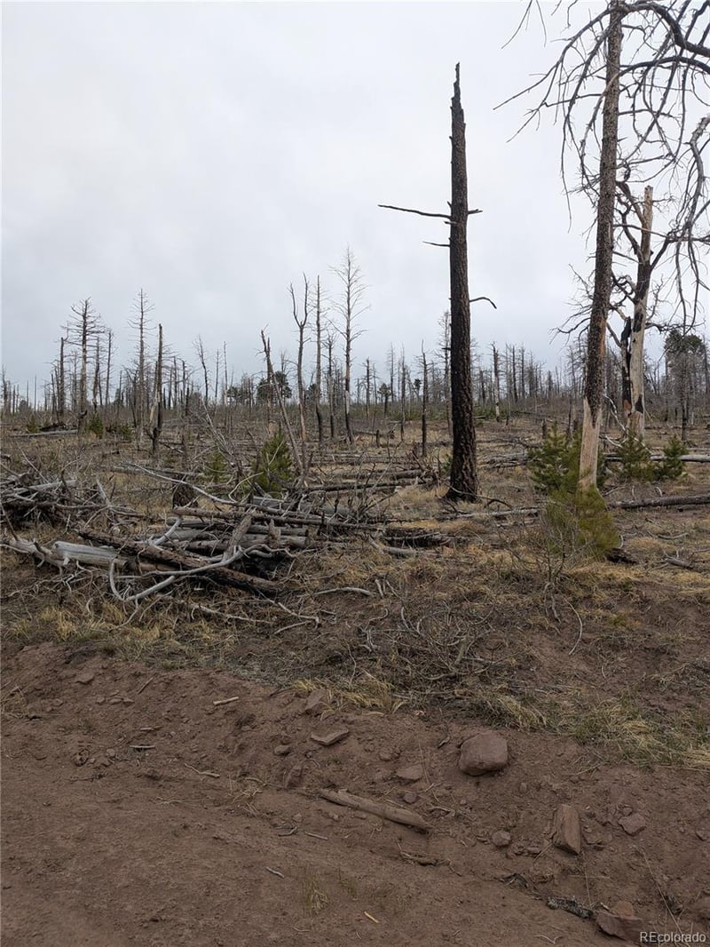 Lot 2296 Wohlstetter Loop, Fort Garland, CO 81133