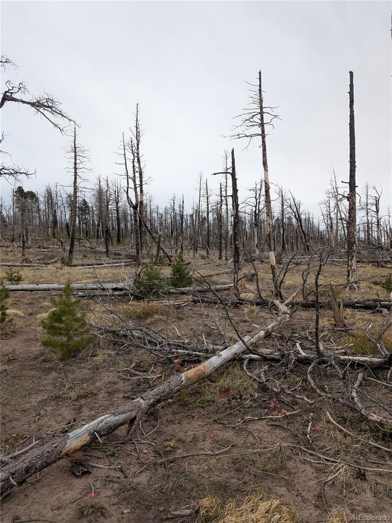Lot 2296 Wohlstetter Loop, Fort Garland, CO 81133