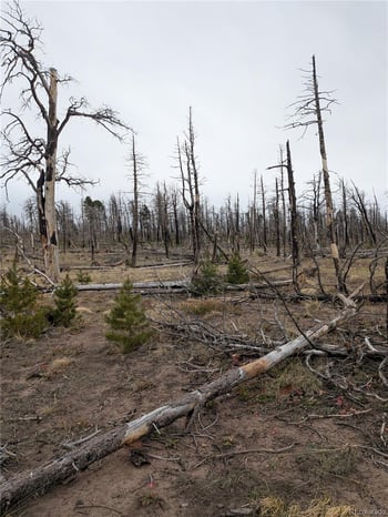 Lot 2296 Wohlstetter Loop, Fort Garland, CO 81133