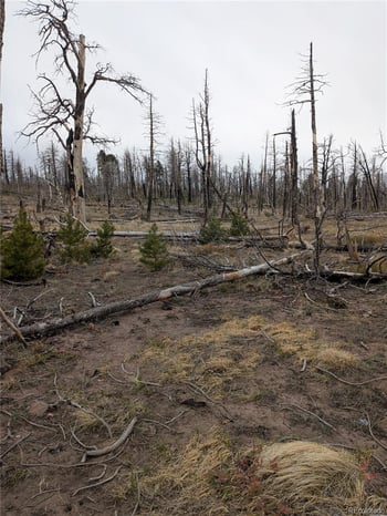 Lot 2296 Wohlstetter Loop, Fort Garland, CO 81133