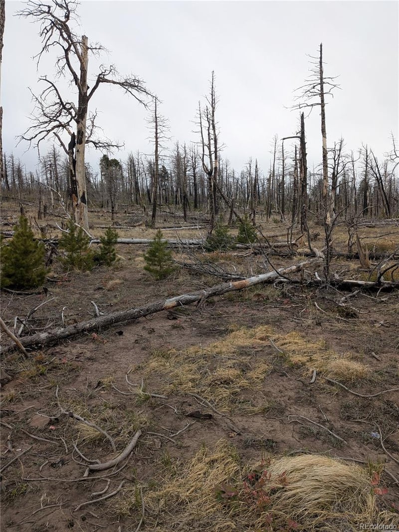 Lot 2296 Wohlstetter Loop, Fort Garland, CO 81133