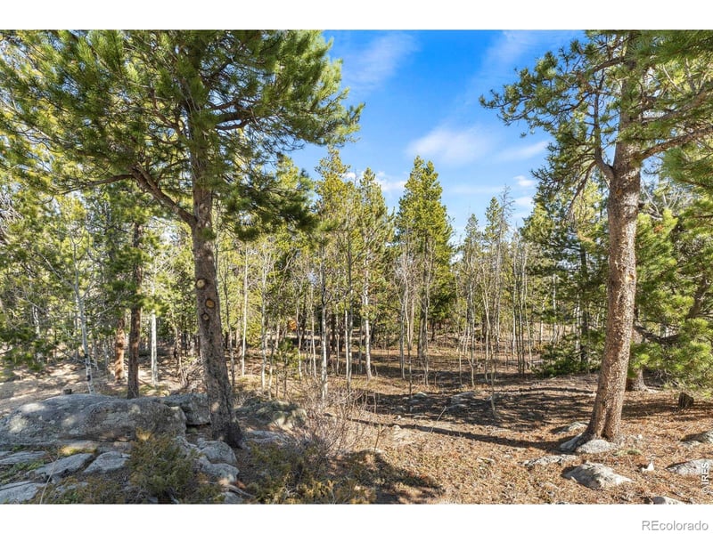 0 Randall Ridge Rd, Black Hawk, CO 80422