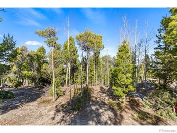 Randall Ridge Rd, Black Hawk, CO 80422