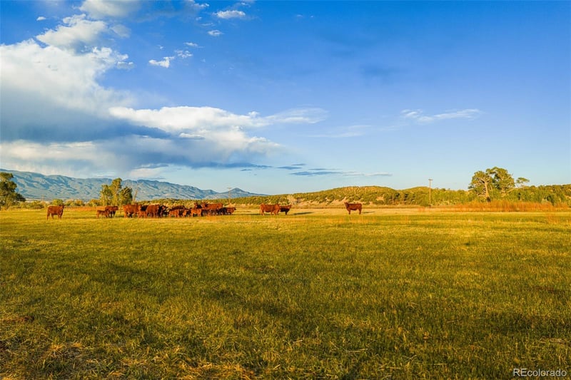 Tb County Road 554, Gardner, CO 81040