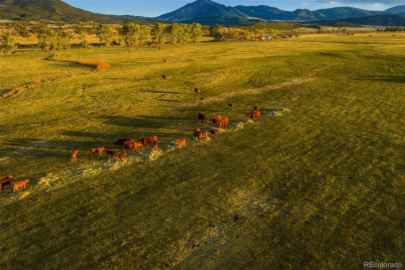 Tb County Road 554, Gardner, CO 81040