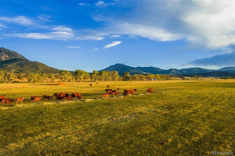 Tb County Road 554, Gardner, CO 81040