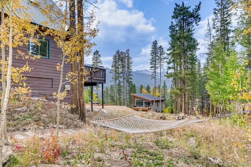 689 American Way, Breckenridge, CO 80424