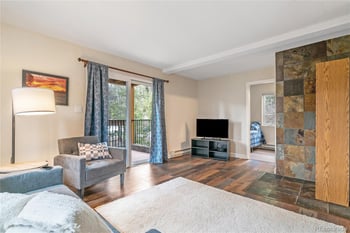 110 Now Colorado Ct #E8, Breckenridge, CO 80424