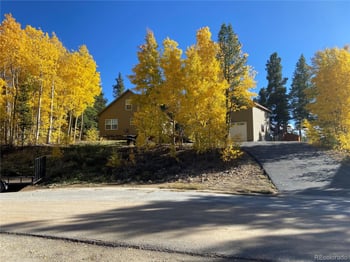 154 Brooklyn Cir, Leadville, CO 80461