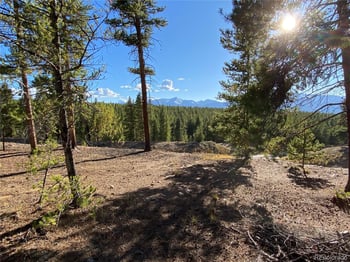 154 Brooklyn Cir, Leadville, CO 80461