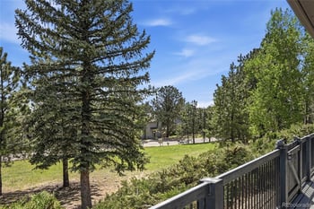 31347 Tamarisk Ln, Evergreen, CO 80439