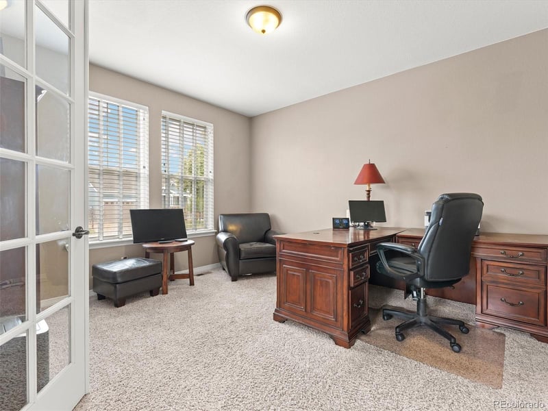 3919 Desert Ridge Cir, Castle Rock, CO 80108