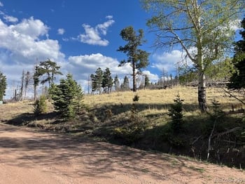 448 Wagon Mesa Loop, Fort Garland, CO 81133