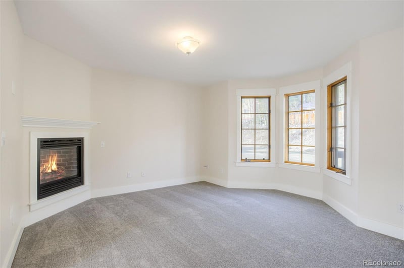 372 N Oak St, Alma, CO 80420