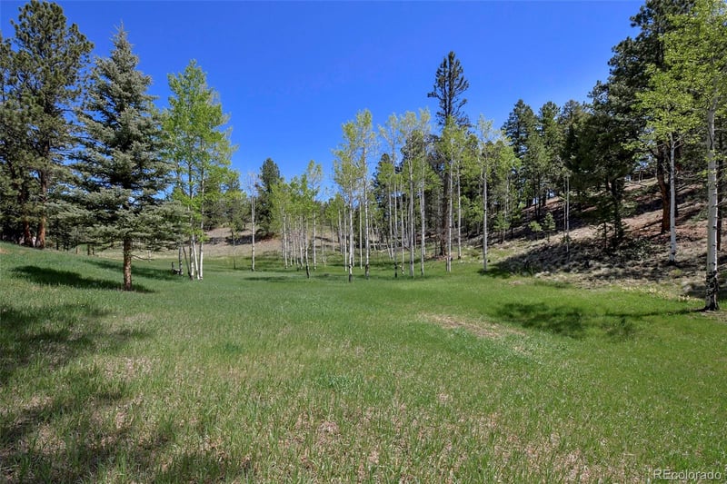 63 Star View Trl, Divide, CO 80814