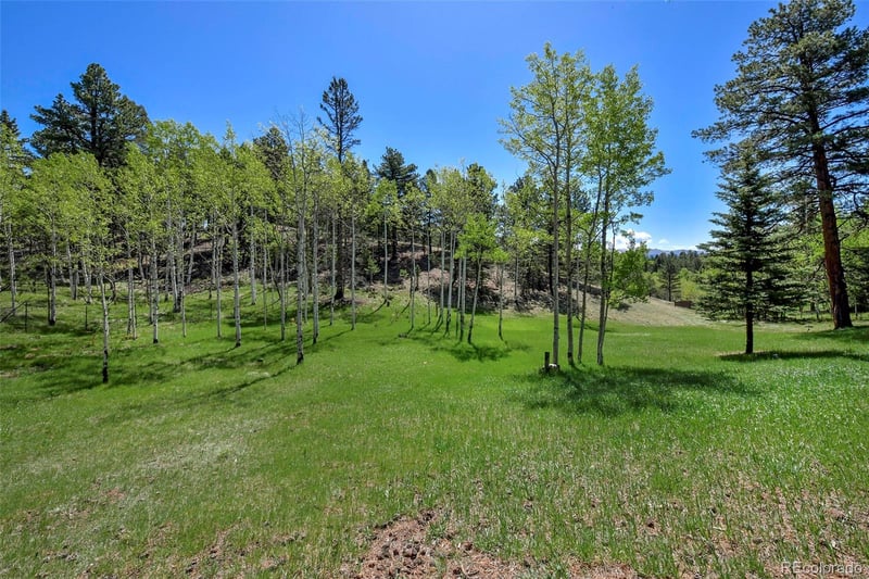 63 Star View Trl, Divide, CO 80814