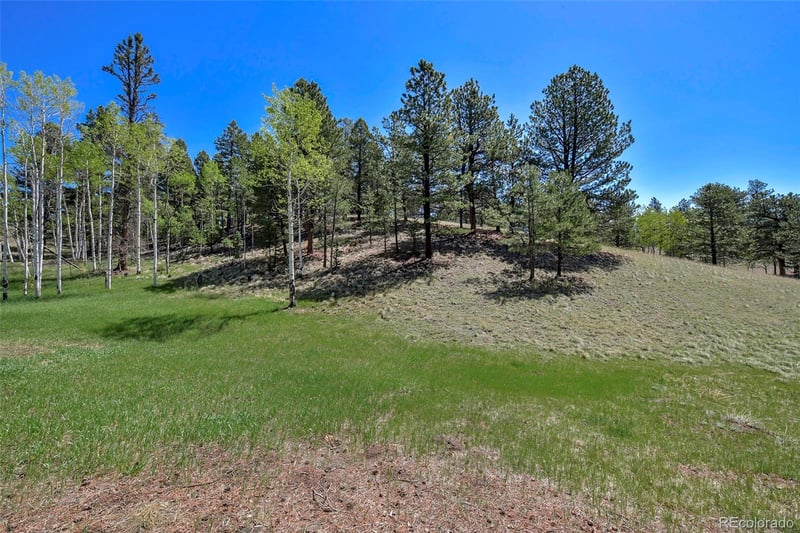 63 Star View Trl, Divide, CO 80814